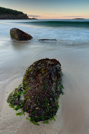 Covered Rock