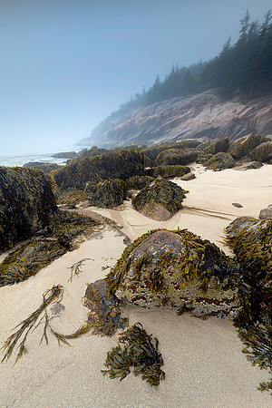 Foggy Morning at Sand Beach