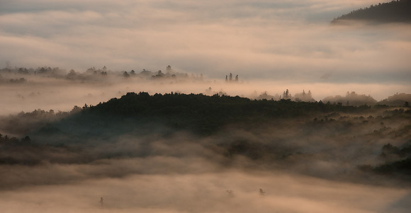 Rolling Fog