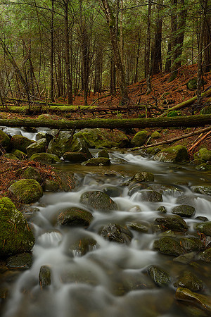 Babbling Brook