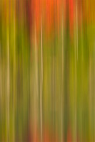 Blur