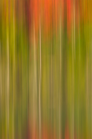 Blur