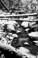 Winter's Touch