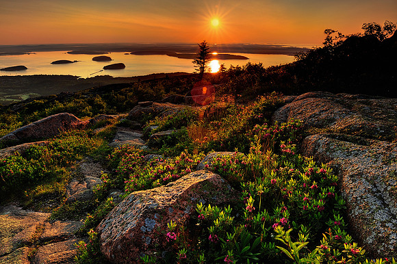 First Light