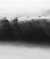 Beams